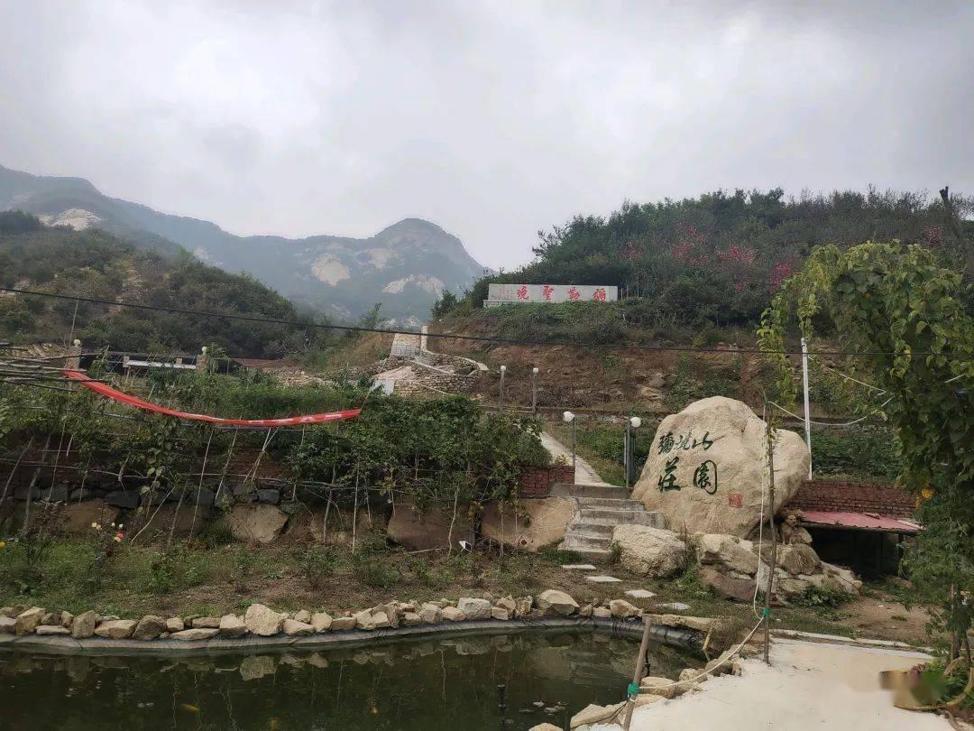 会灵魂出窍,拜师费500万,气功大师王林凭什么?